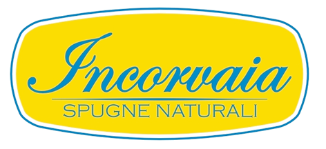 I nostri marchi